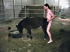 Nurse in stock cocksucing for horse
